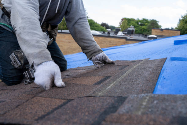 Best New Roof Installation  in Lemon Hill, CA