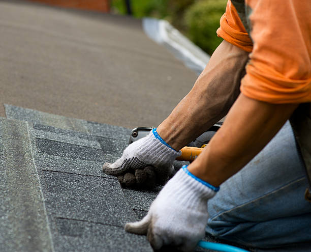 Best Roof Repair Services  in Lemon Hill, CA