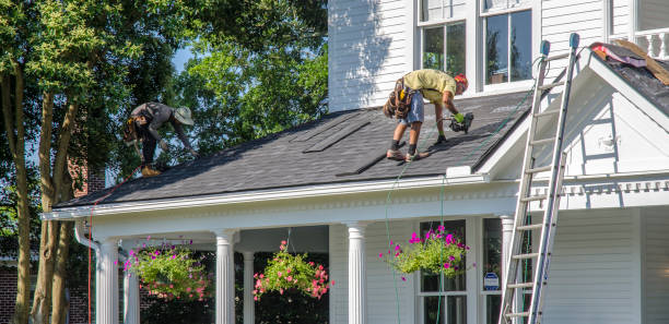 Best Roof Gutter Cleaning  in Lemon Hill, CA